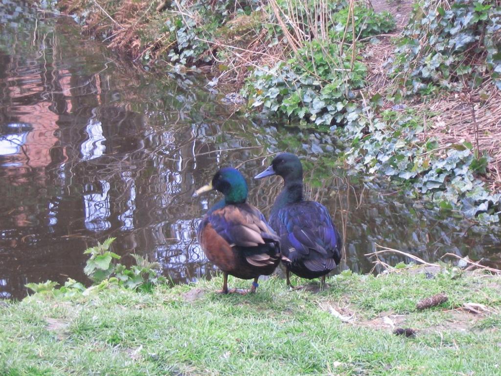 Derechos de imagen reservados por Booking.com