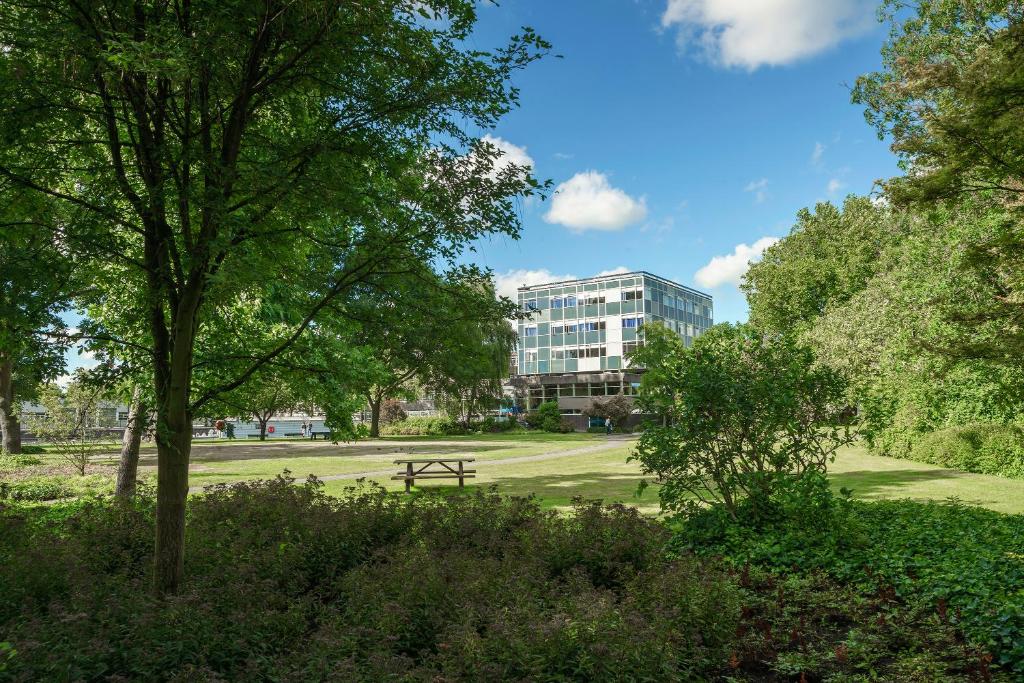 une table de pique-nique dans un parc avec un bâtiment en arrière-plan dans l'établissement Pension Homeland, à Amsterdam