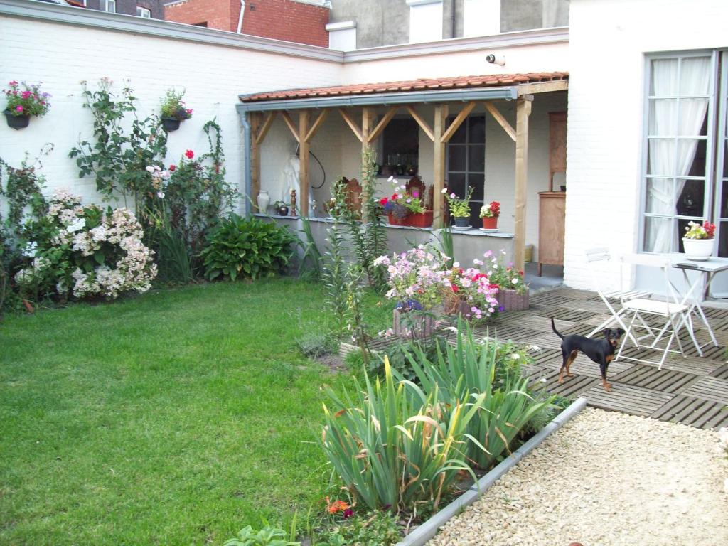 Zahrada ubytování B&B Cambiare