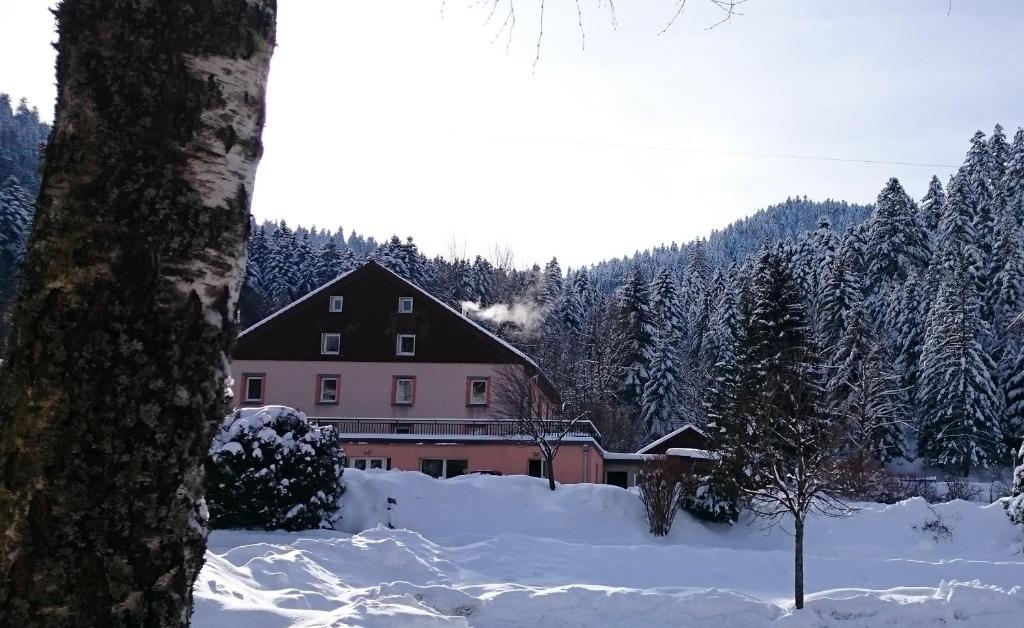 Domaine du Haut des Bluches en invierno