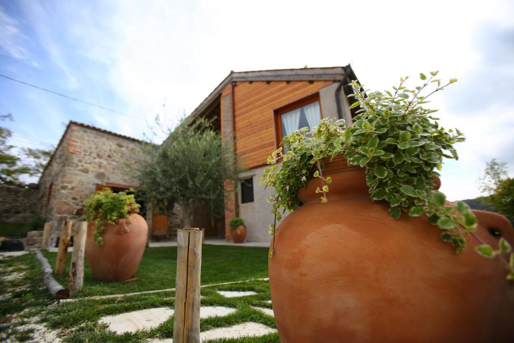 dos jarrones grandes con plantas delante de una casa en I grilli b&b en Baone