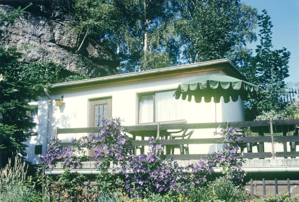 une maison blanche avec des fleurs violettes devant elle dans l'établissement Ferieneinrichtungen Haus am Stein, à Königstein