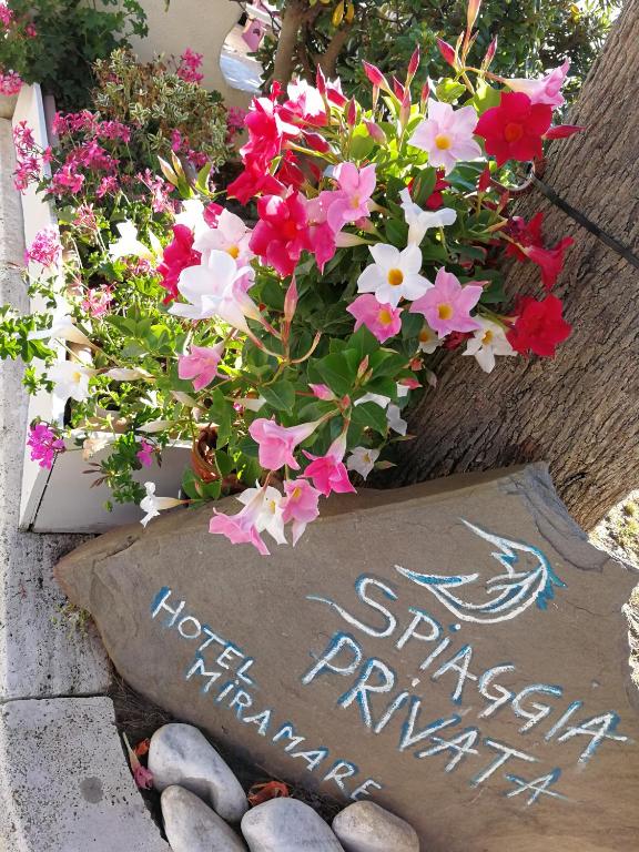 Zahrada ubytování Hotel Miramare