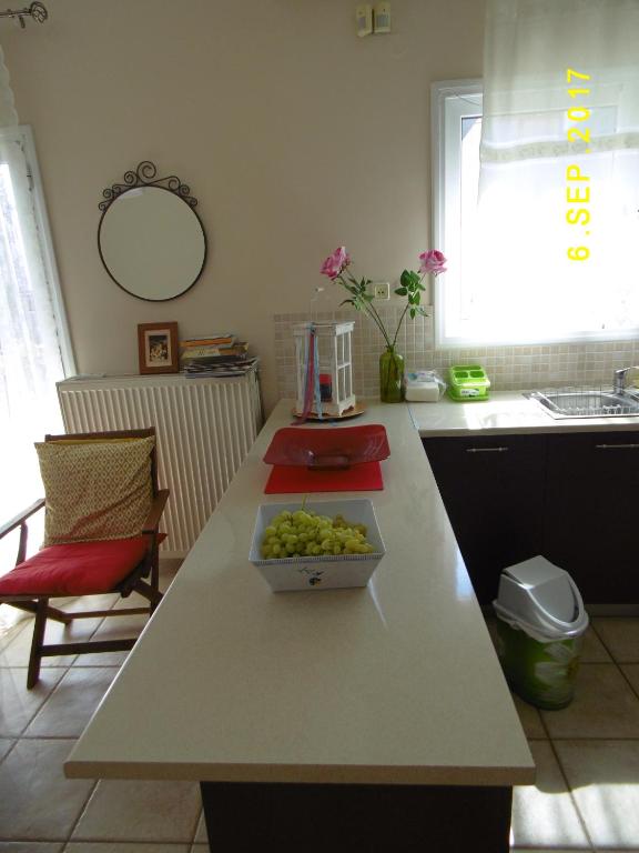 Kuchyň nebo kuchyňský kout v ubytování Spacious Apartment