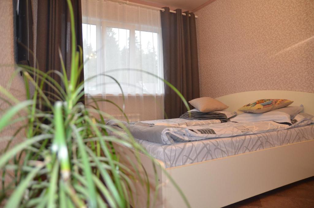 Complex Uspenka - One-Bedroom Suite