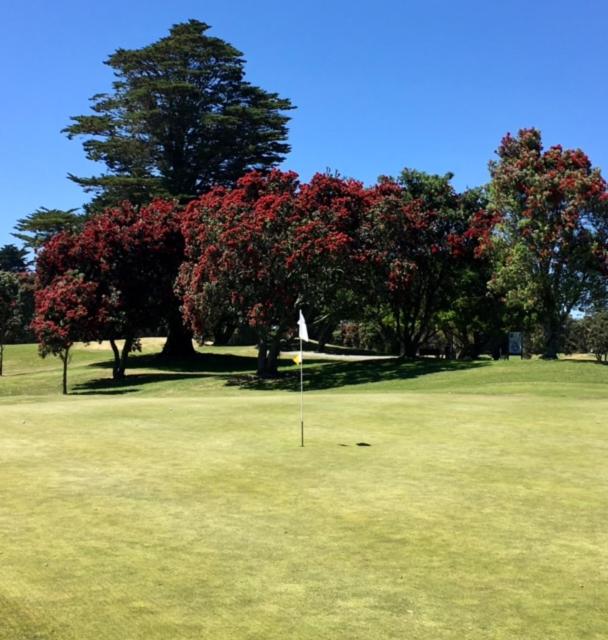 un campo da golf con alberi rossi e una bandiera nell'erba di Mauao Studio a Mount Maunganui