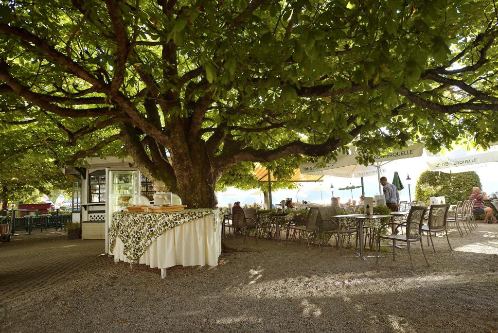Zahrada ubytování Seehotel Schlick