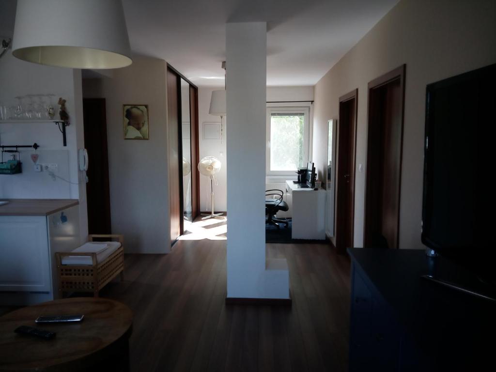 TV a/nebo společenská místnost v ubytování Walnut apartment with sauna and pond