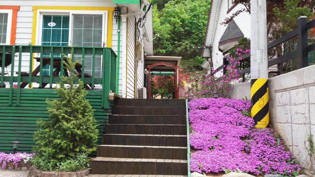 Zahrada ubytování Charm Pension