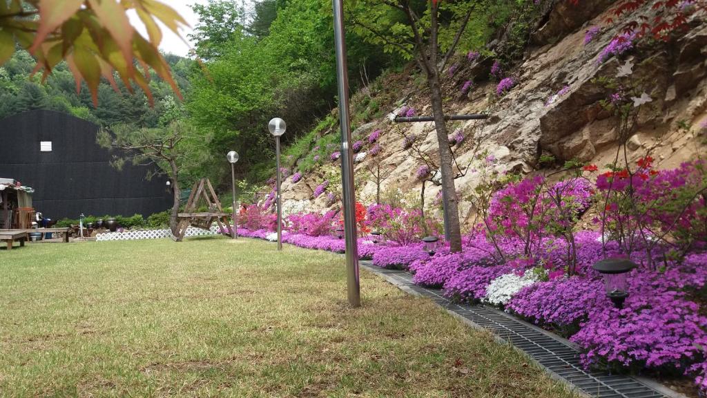Zahrada ubytování Charm Pension