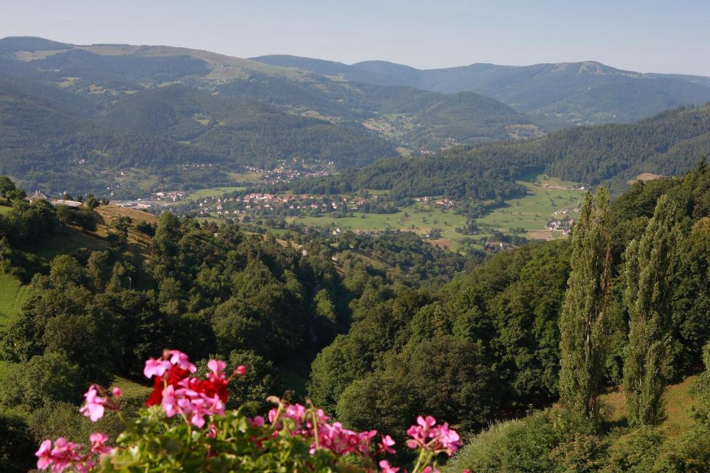 a view of a valley with pink flowers at Hôtel Restaurant Roess in Hohrod