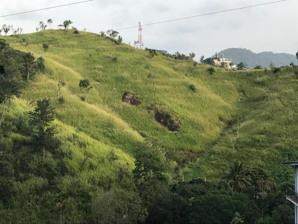 een groene grasheuvel met een huis erop bij Tikiri Latha Hanthana in Kandy