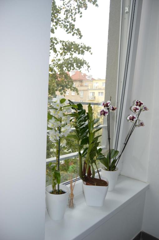 Fotografie z fotogalerie ubytování HOTEL ARÉNA v Praze