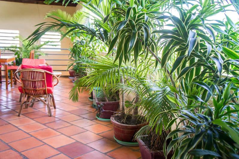 Zahrada ubytování Visal Sak Guesthouse