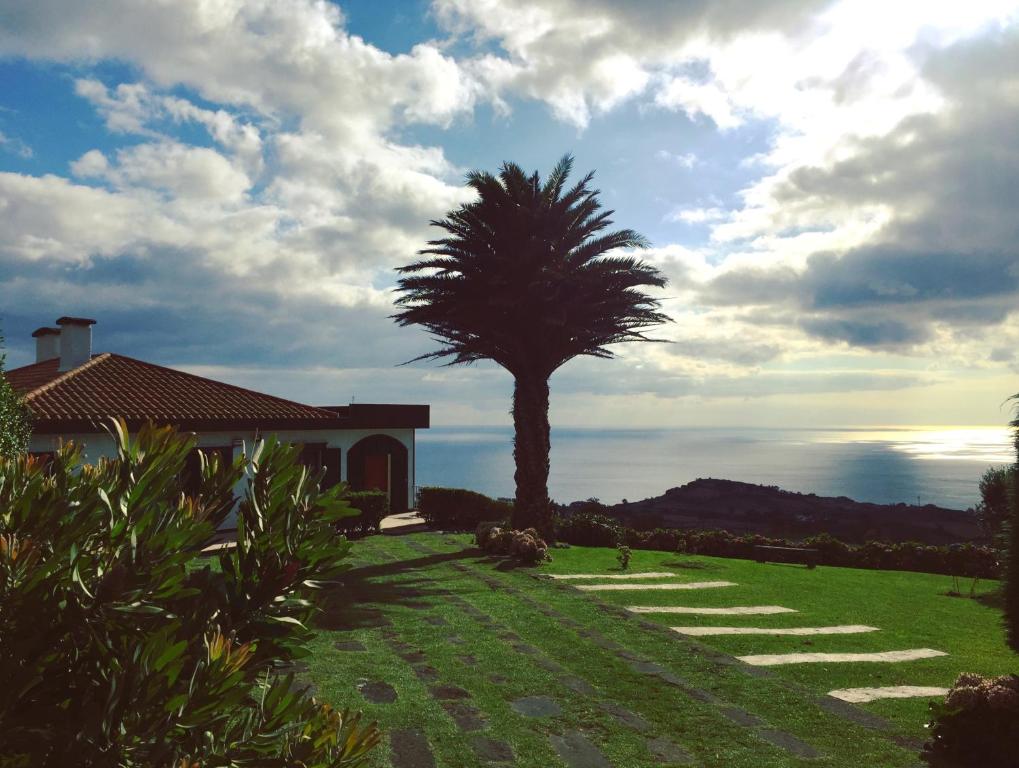 a palm tree in front of a house with the ocean at Villa Flor do Monte in Lagoa