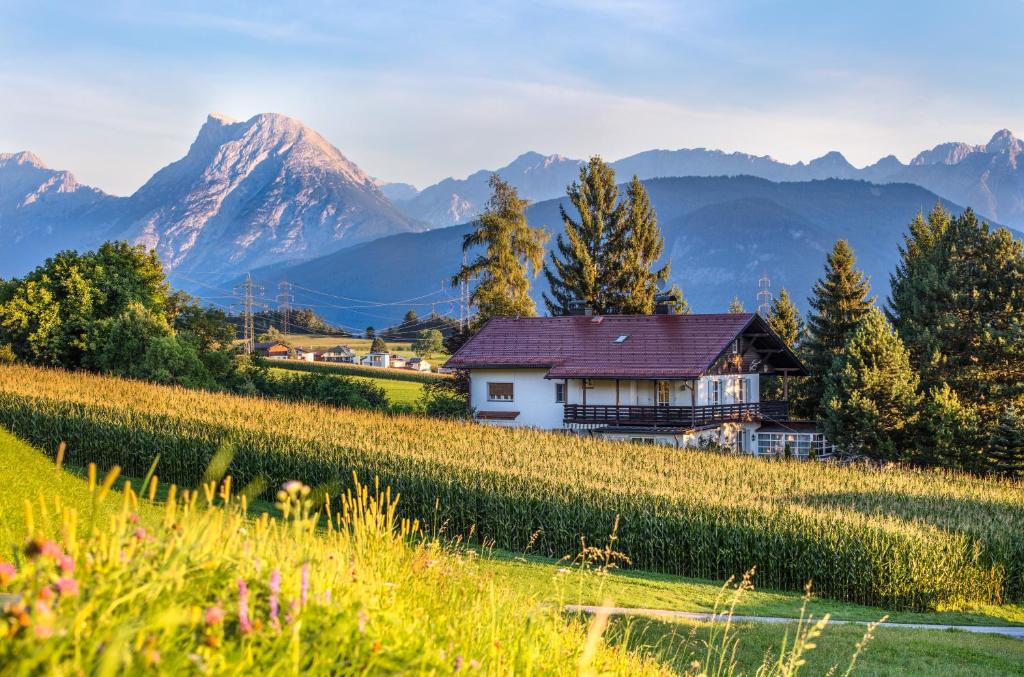 a house in a field with mountains in the background at Villa Wilhelmine in Oberperfuss