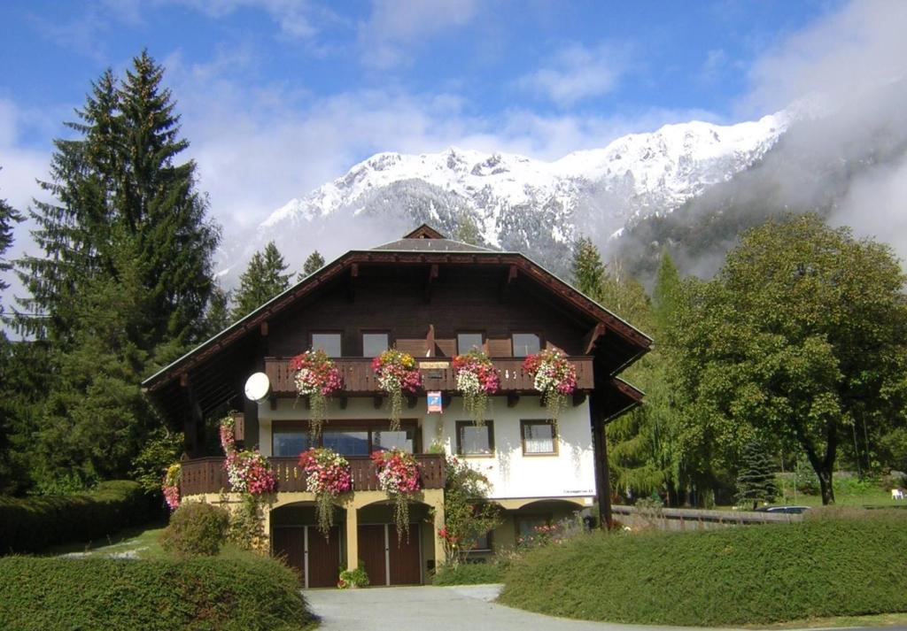 a house with flowers in front of a mountain at Haus Weber Pressegger See in Hermagor