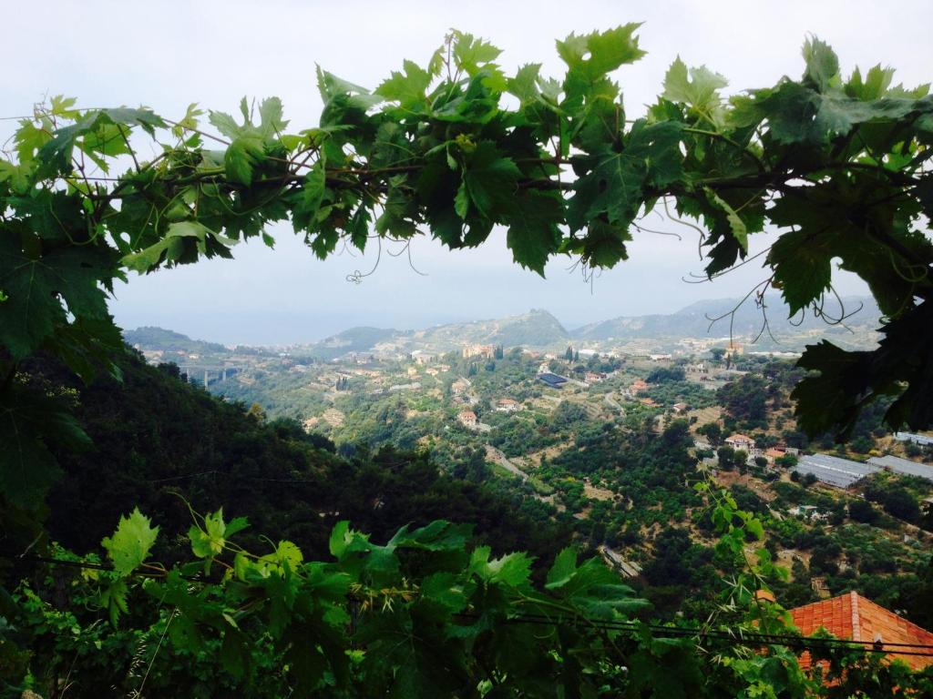 VallebonaにあるIl mandarinoの丘陵から市街の景色を望めます。
