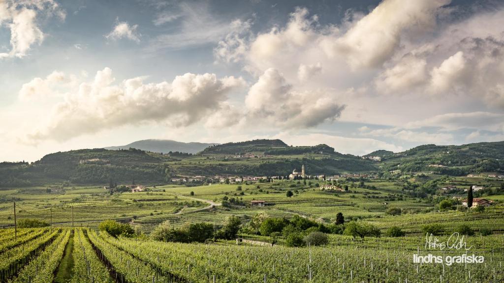 ein grüner Hügel mit einem Dorf inmitten eines Feldes in der Unterkunft Le Bignele in Marano di Valpolicella