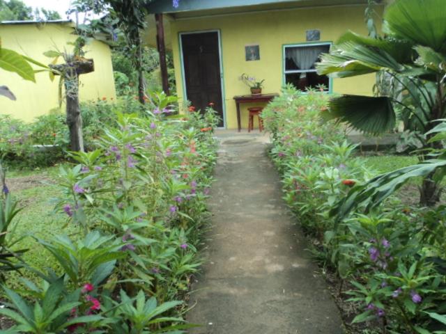 Zahrada ubytování Posada Rural Oasis