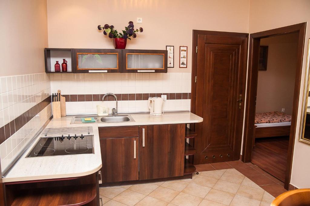 Kuchyňa alebo kuchynka v ubytovaní Apartamenty Dom na Wzgórzu Gardenia