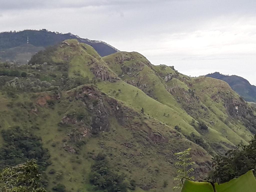 a mountain covered in green grass and trees at Ella Infinity View in Ella