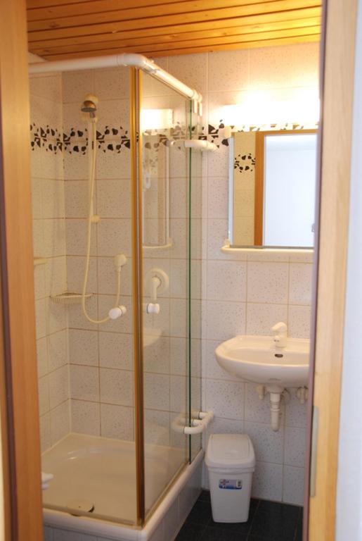 Hotel-Restaurant Zum Goldenen Hahnen - Single Room