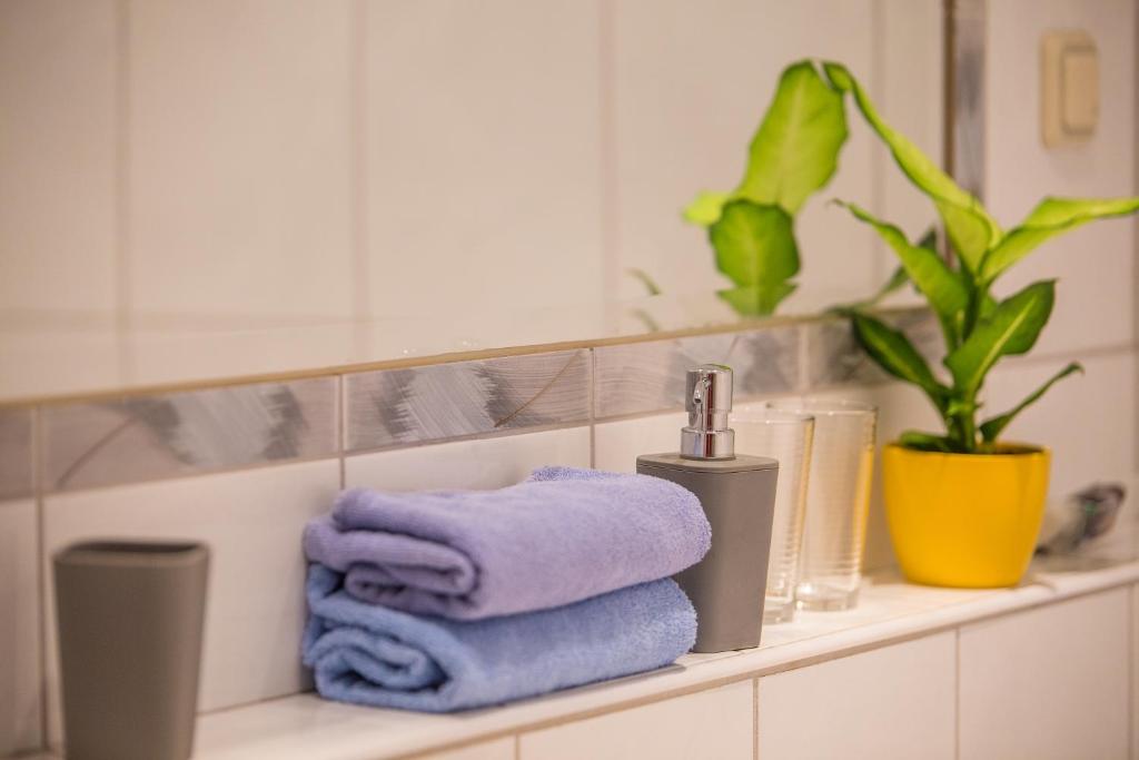 Fotografie z fotogalerie ubytování Apartment Marina v destinaci Slavonski Brod