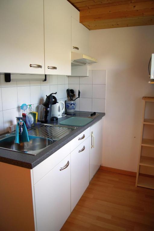 Kuchyň nebo kuchyňský kout v ubytování Studio Schija