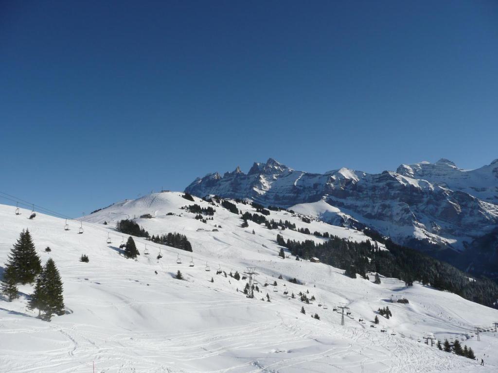 Celine 9, Champery v zimě