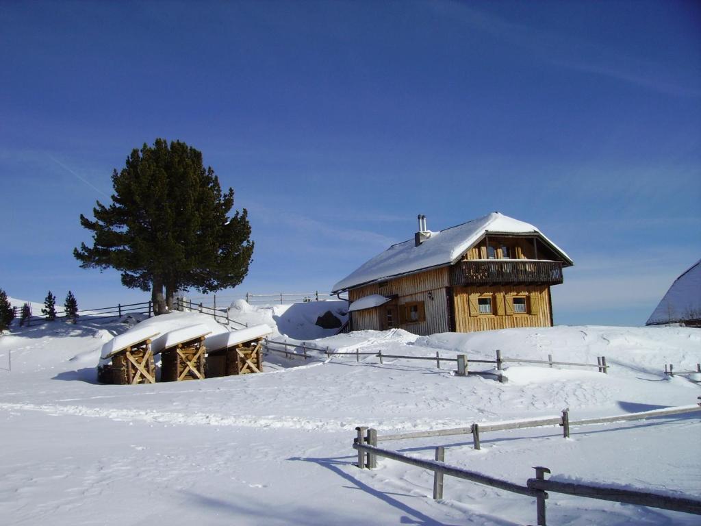 Cabaña de madera con techo cubierto de nieve en un campo en Almhaus Weißmann, en Patergassen