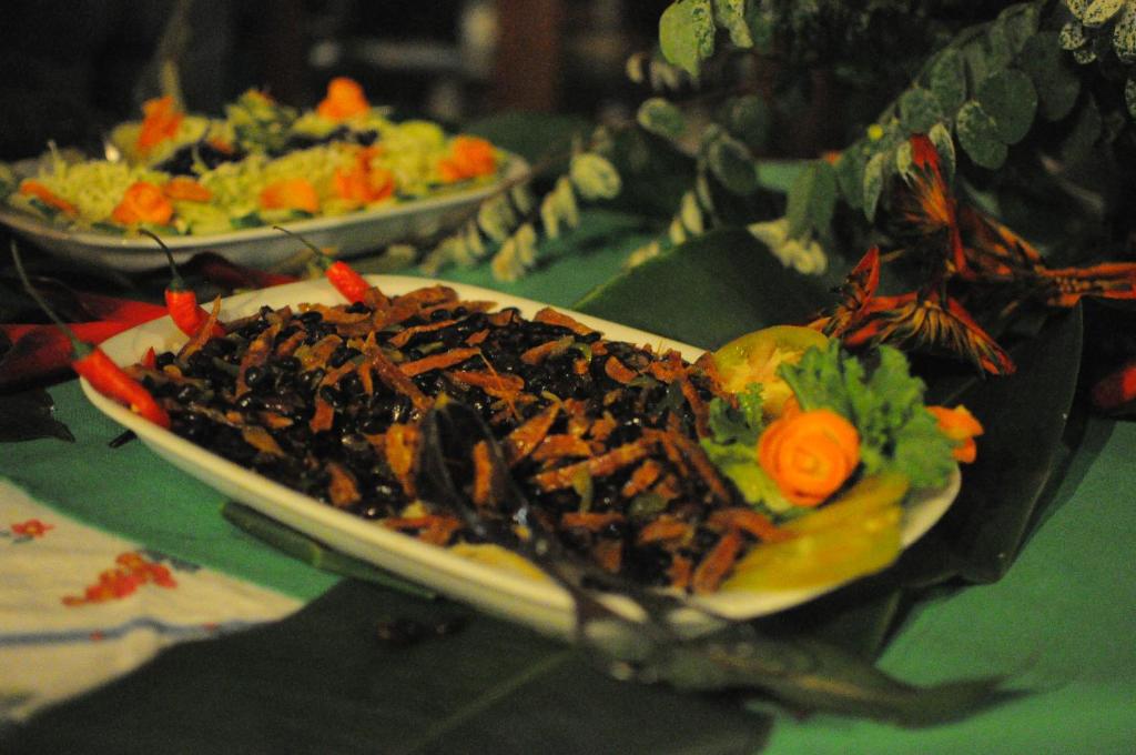 Gallery image of Hotel Praia Inhame Ecolodge in Porto Alegre