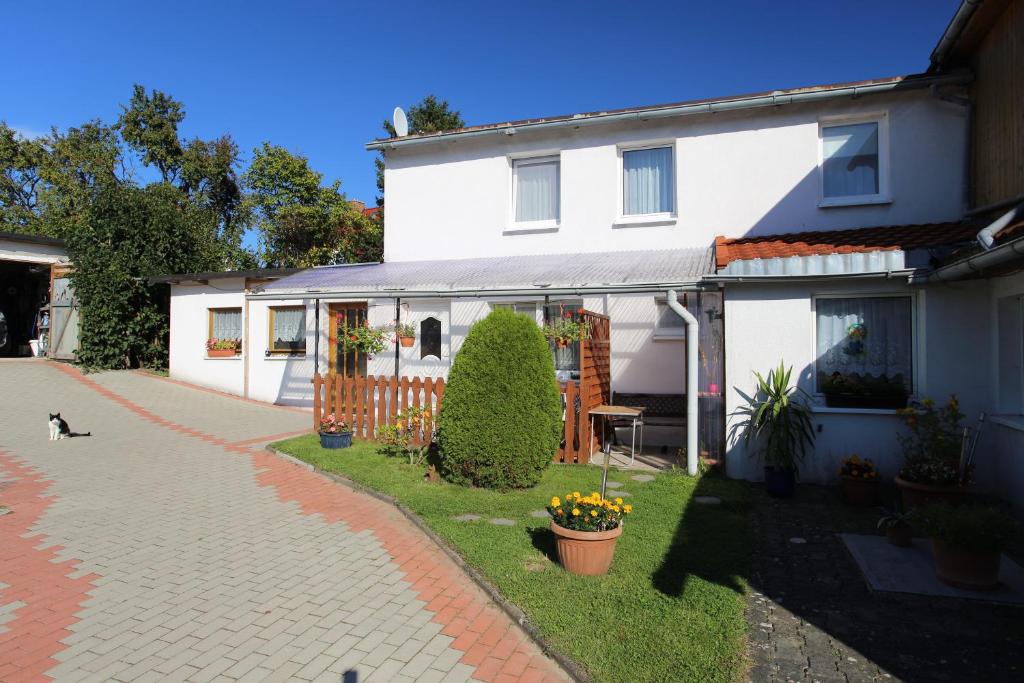 a white house with a dog sitting in front of it at Ferienwohnung in Bodden & Ostsee nähe in Sagard