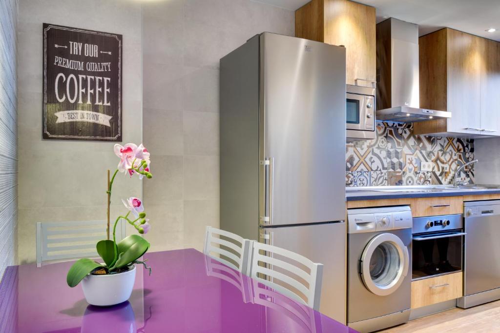 Kuchyň nebo kuchyňský kout v ubytování Apartamentos San Lázaro
