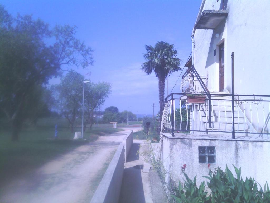 a street with a palm tree next to a building at Guesthouse Porec in Poreč