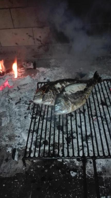 a fish cooking on a grill with a fire at Guesthouse Porec in Poreč