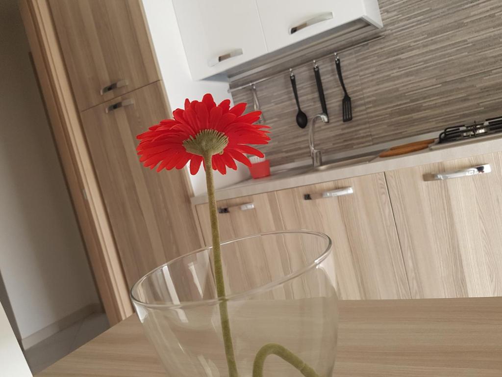 オリヴェーリにあるCasa Vacanze Olivieri/Marinelloのテーブルの上に置かれたガラス花瓶の赤い花