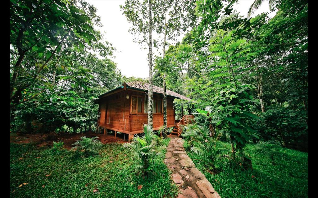 Gallery image of Bamboo Creek Resort in Vaduvanchal