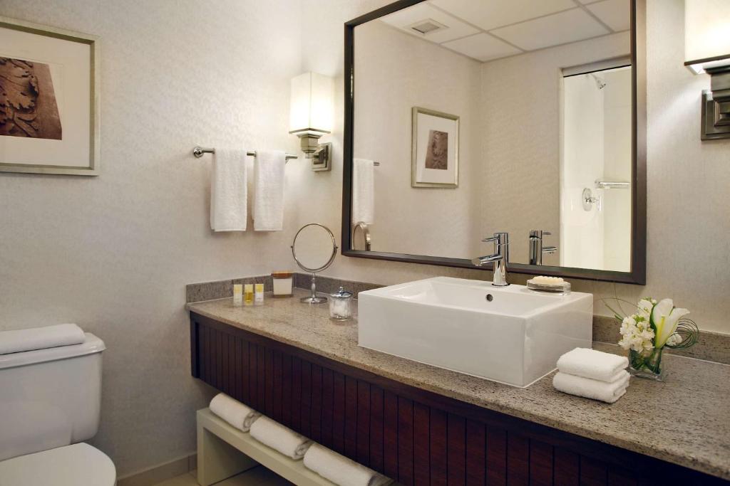 Hyatt Regency Saint Louis at The Arch - King Room Met Uitzicht