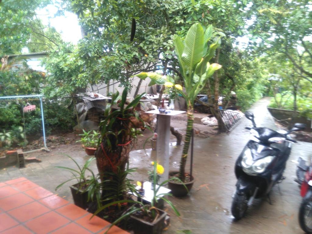 Aed väljaspool majutusasutust Homestay Ngoc Sang