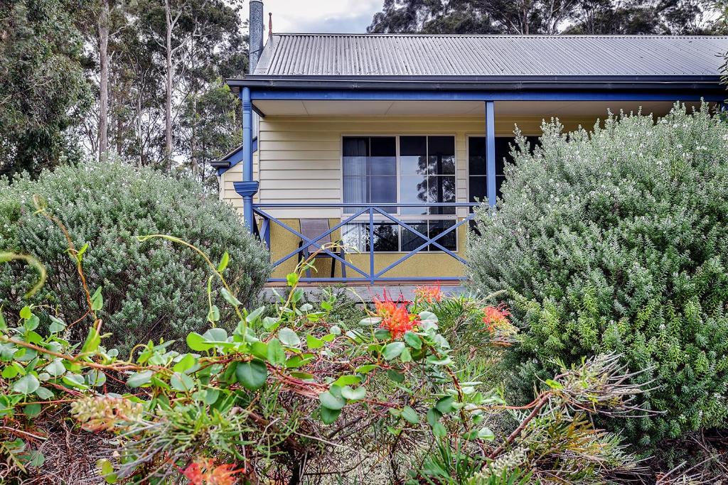 Ein Haus mit Büschen davor. in der Unterkunft Waverley House Cottages in Lakes Entrance