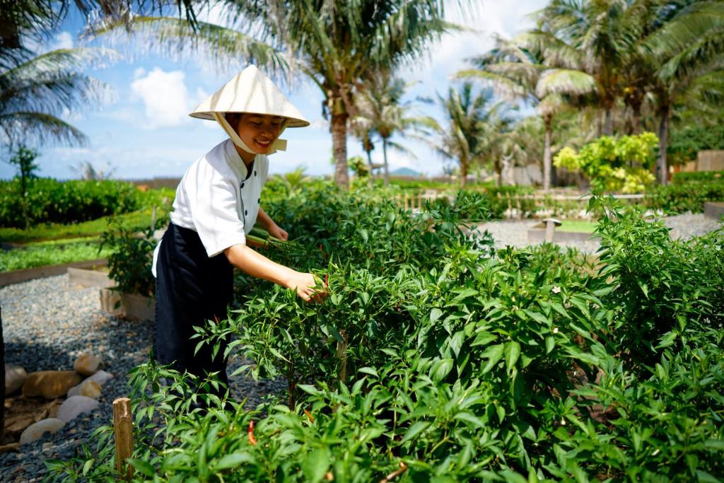 Ein Garten an der Unterkunft Six Senses Con Dao - Turtle Island Paradise