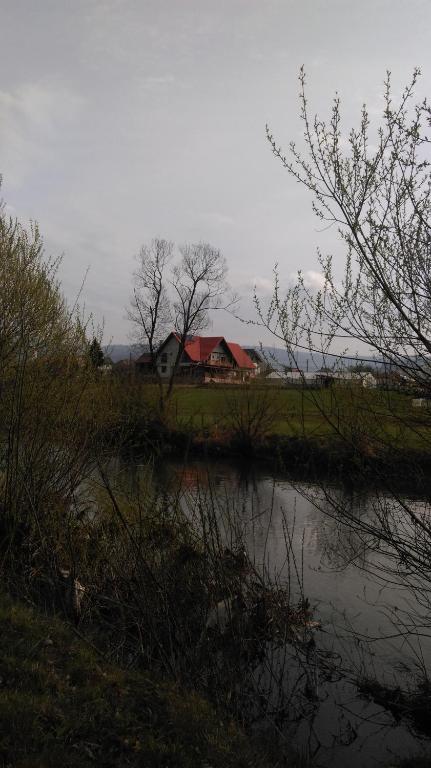 Příroda nedaleko penzionu
