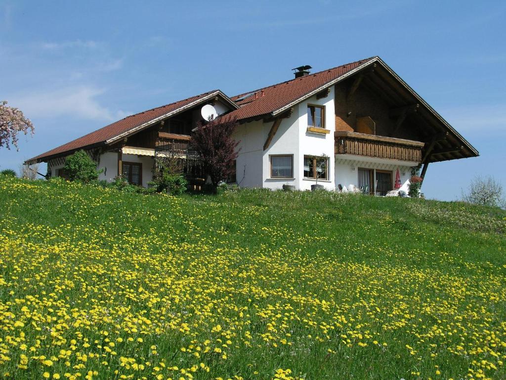 una casa en una colina con un campo de flores en Ferienwohnungen Pension Sonnblick, en Krumbach