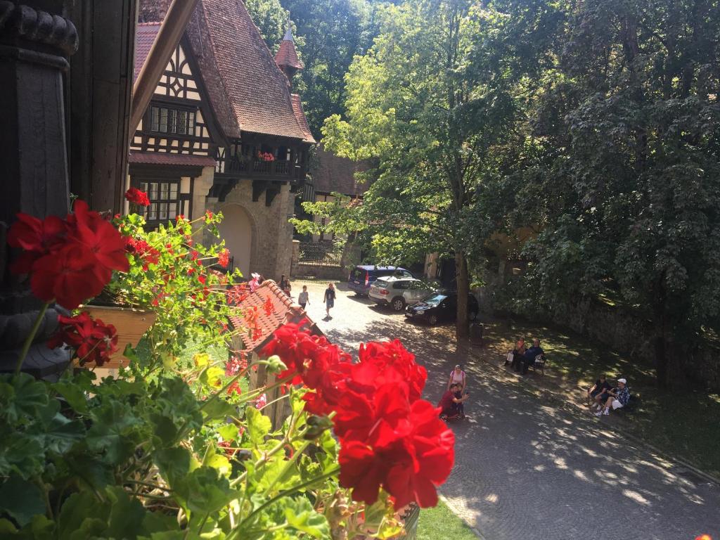 a red flower bush in front of a building at Complex La Tunuri - Vila Economat in Sinaia