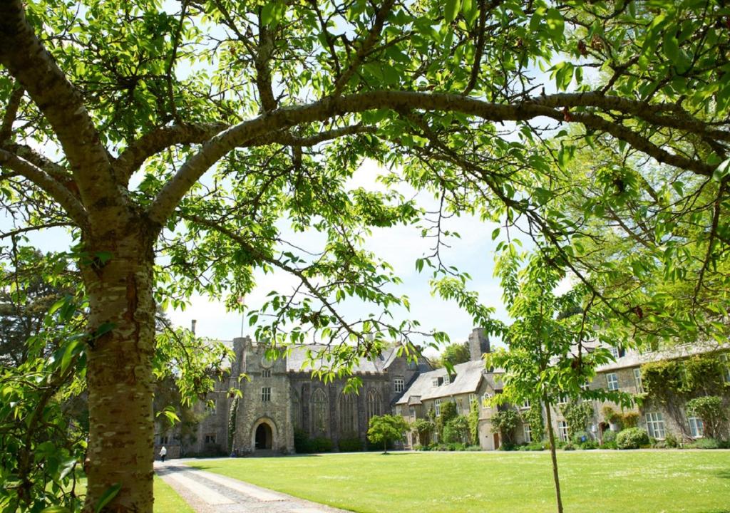 a tree in front of a building with a yard at Dartington Hall in Totnes