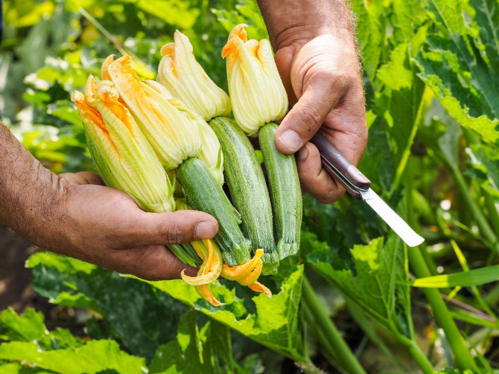 Vonkajšia záhrada v ubytovaní Monaci delle Terre Nere