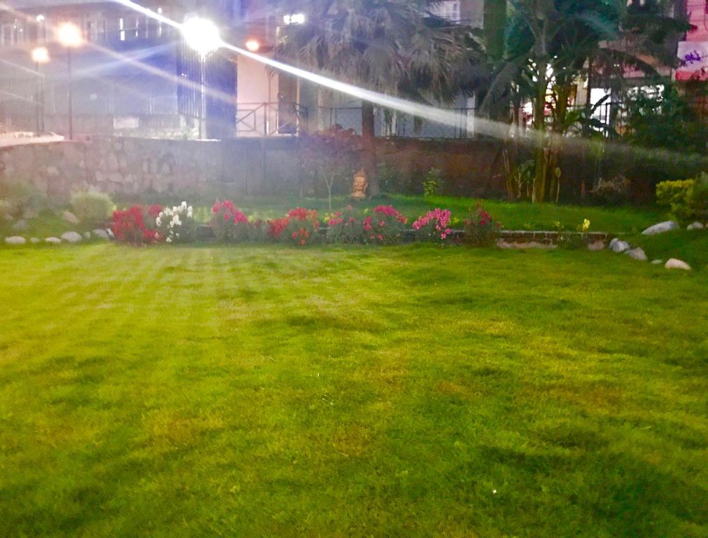 Zahrada ubytování Hotel Hema