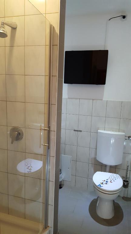 Hotel Glindenberger Hof في Glindenberg: حمام مع مرحاض وتلفزيون على الحائط