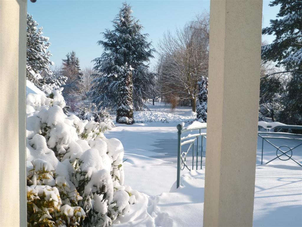 a bush covered in snow next to a fence at Bois Joli de la Freyère in Hindisheim